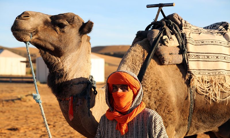 En Viaja al Desierto, nos dedicamos a ofrecer experiencias de viaje inolvidables en Marruecos