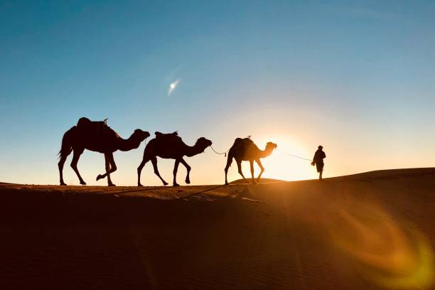 Un viaje de 4 días desde Marrakech al desierto de Erg Chigaga es perfecto para combinar aventura, paisajes naturales y cultura bereber. Aquí tienes un itinerario bien planificado