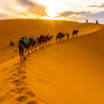 Viaje de 9 Dias desde Casablanca