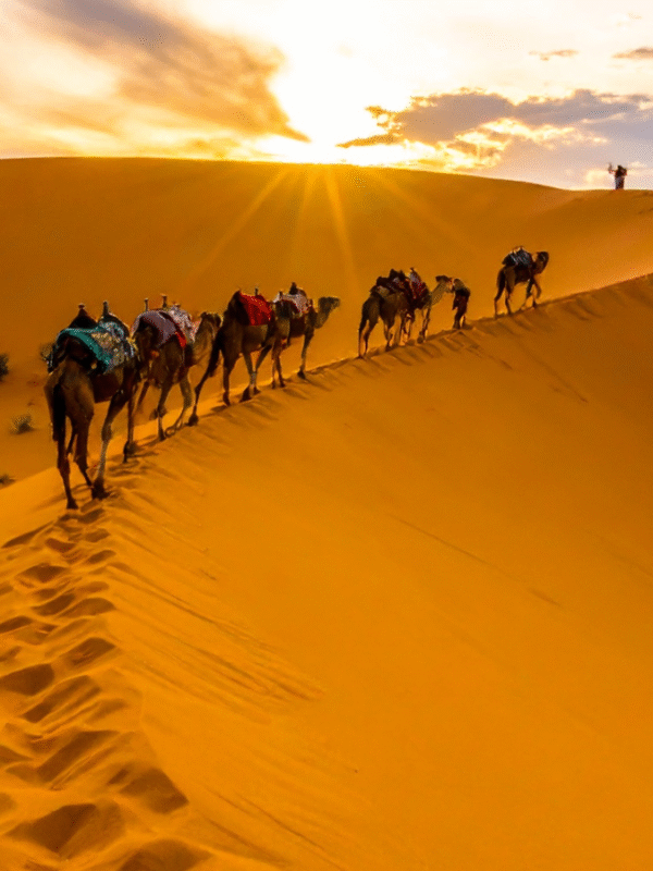 Viaje de 9 Dias desde Casablanca