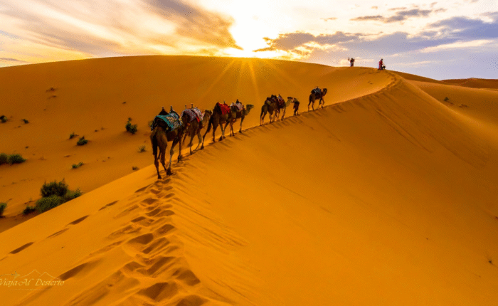 Viaje de 9 Dias desde Casablanca