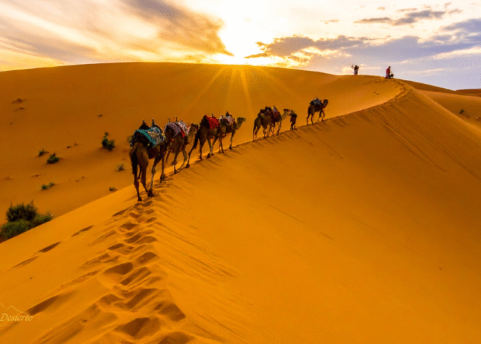 Viaje de 9 Dias desde Casablanca